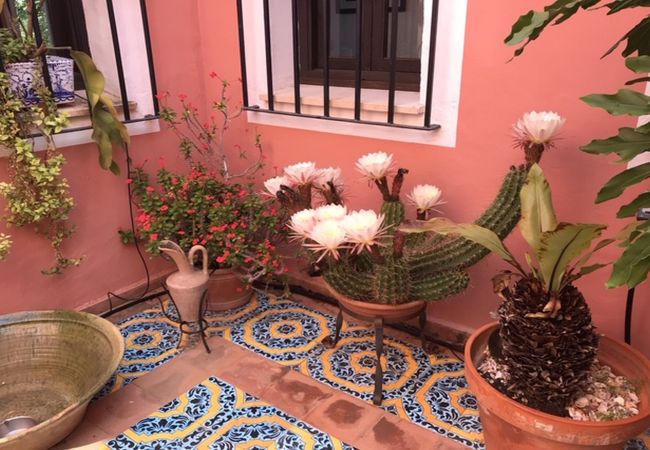 Villa en Benidoleig -  Villa La Cortijera - piscina privada, 8 p Villa en Benidoleig -  Villa La Cortijera - piscina privada, 8 p